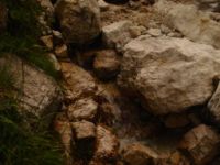 2014-08-02_06FritzPflaum-Steig (394).JPG